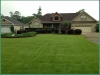 al-s-front-yard-zorro-zoysia